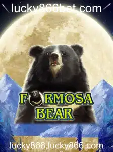 Descubra o Universo de FormosaBear: Uma Aventura Inovadora